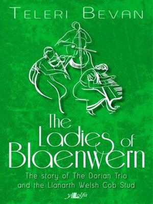 cover image of Ladies of Blaenwern